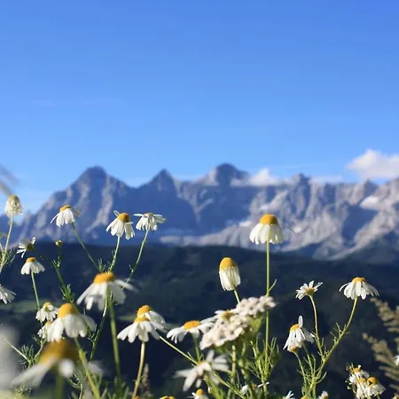 Alpine-lodge *