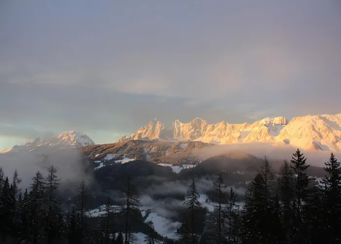 阿尔卑斯-洛奇酒店 斯拉德明